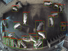 集成32类传感器取强化进修算 