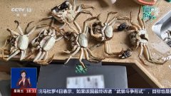 <b>I手艺正赋能千行百业</b> 