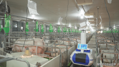 最终迈向“生态建立 